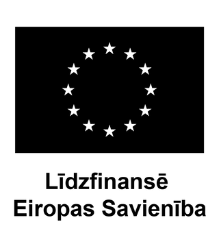 Laika lāde