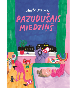 Pazudušais miedziņš