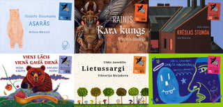 BIKIBUKS nr. 72 Daiļās krustmātes