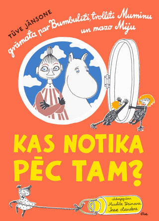 Kas notika pēc tam?